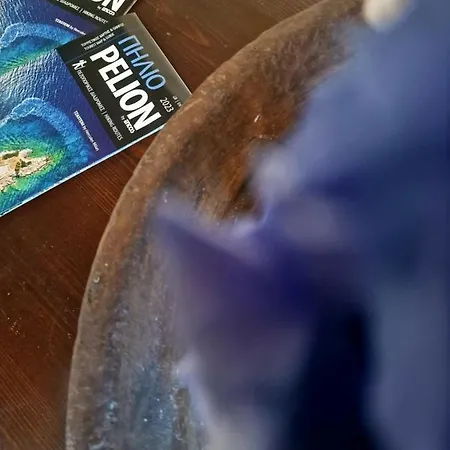 Casa Belvedere Prázdninový dům *