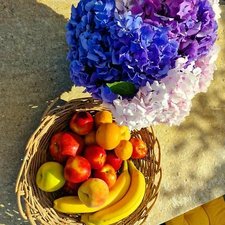 Casa Belvedere Prázdninový dům Pilion