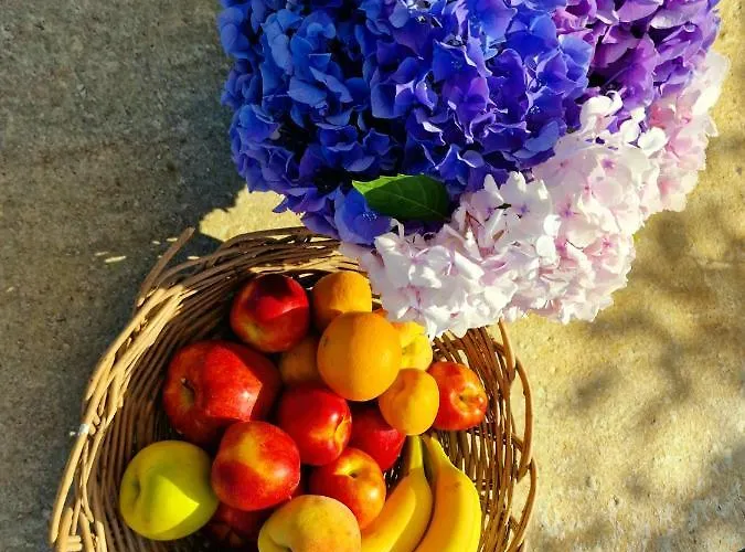 Casa Belvedere Dom wakacyjny Pilion